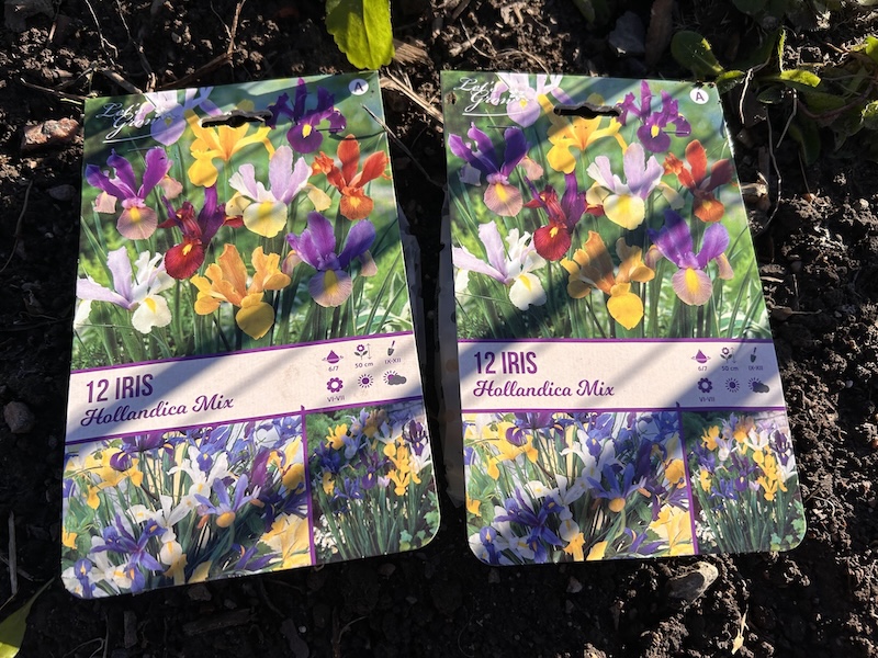 Istutettavat iirikset