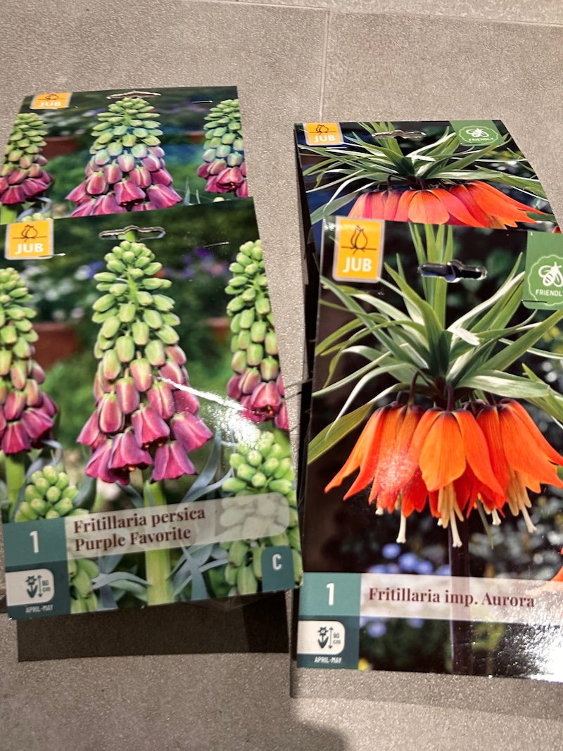 Persianpikarililja ja keisarinpikarililja