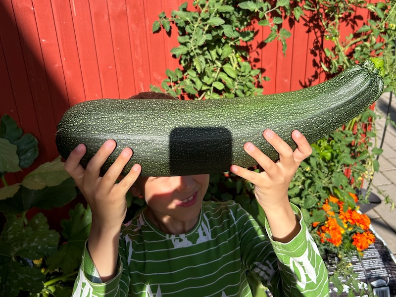 Tästä tarina alkaa