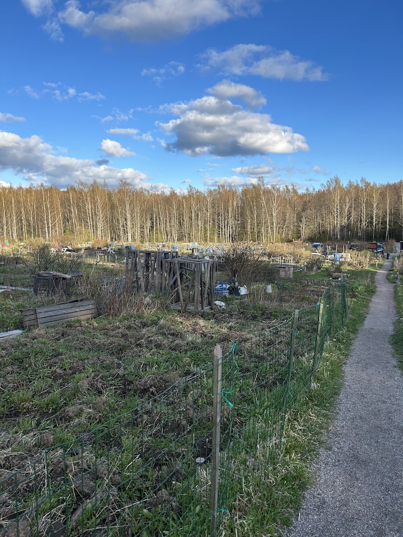 Kevättä ilmassa palstoilla